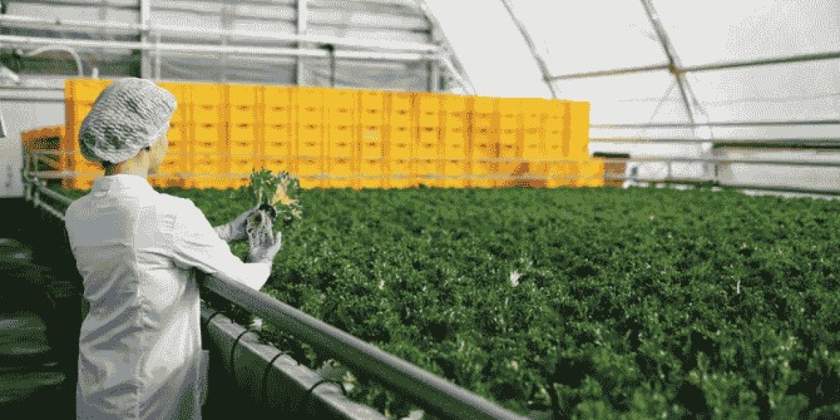 Why Businesses Need Food Supply Chains Beyond Agricultural Production