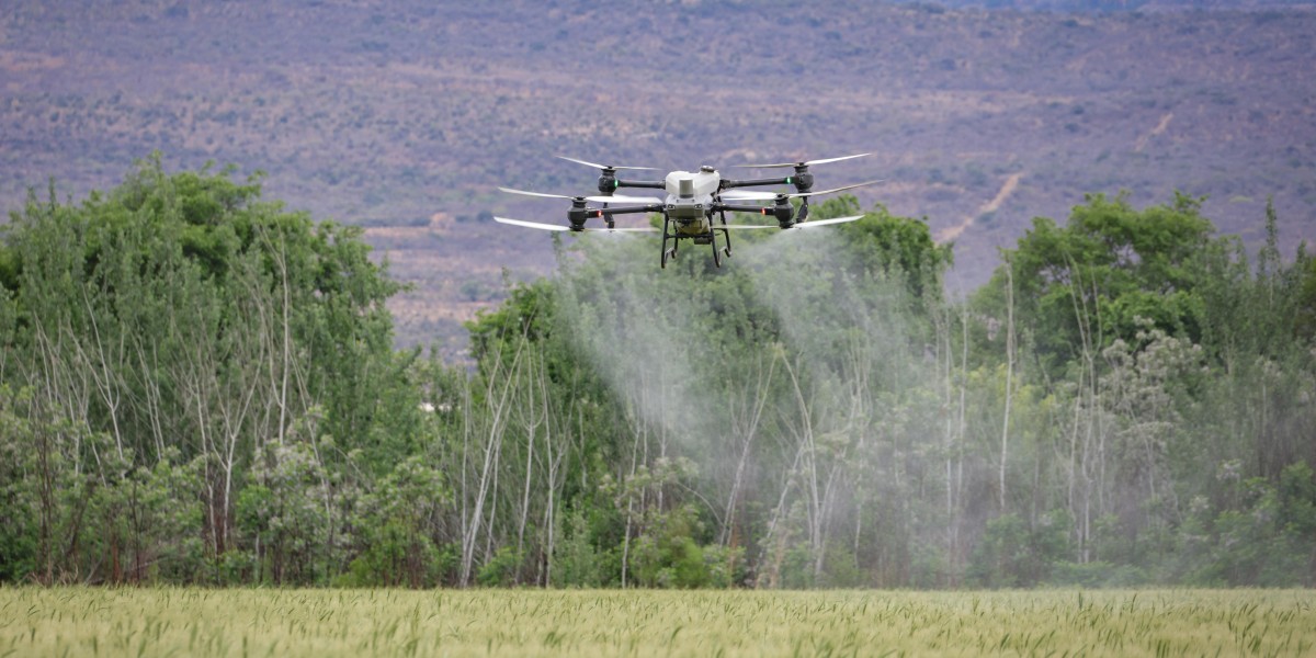 Key Drivers and Challenges in the China Precision Farming Market