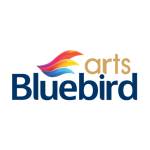 Bluebird Arts Pak