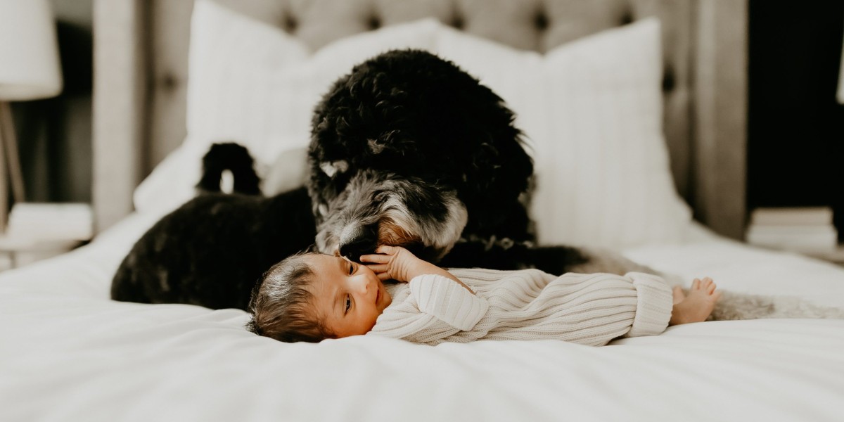 The Perfect Timeline: Combining a Maternity Photo Shoot with Newborn Photography
