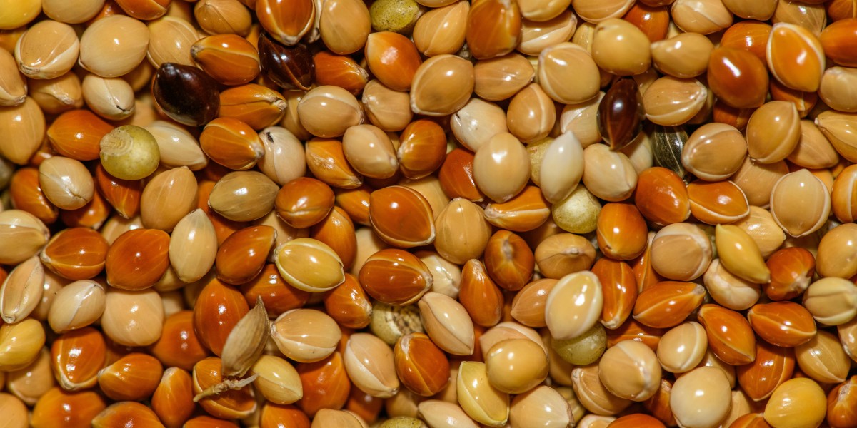 Market Dynamics Shaping Biological Seed Treatment in China