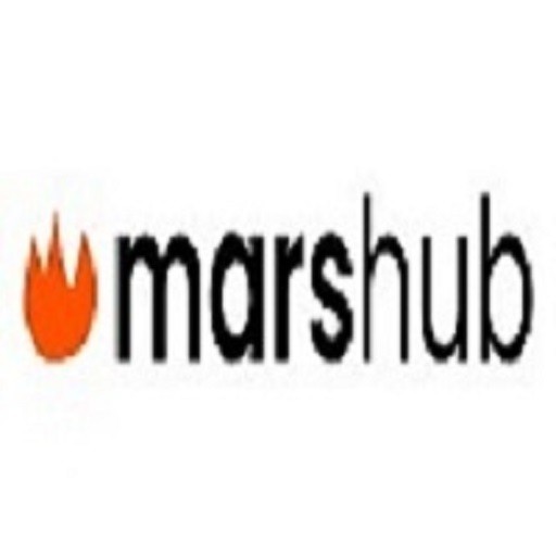 Mars hub