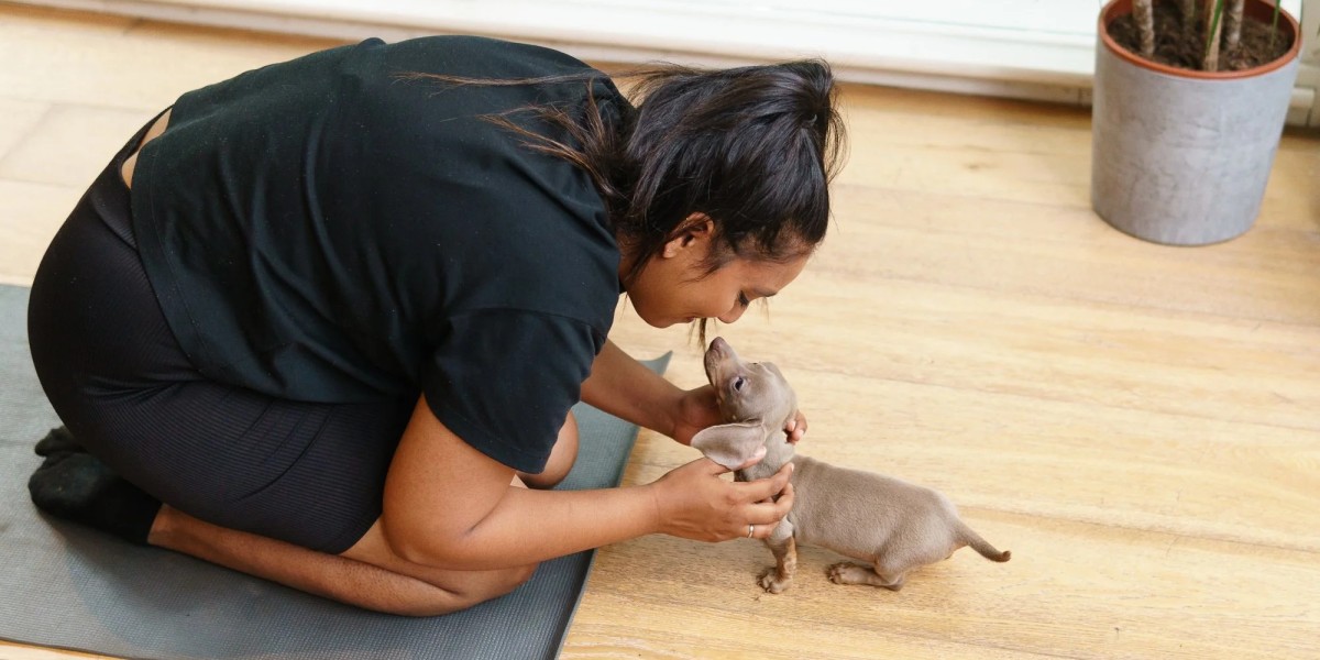 Feel the Positive Energy of Pets Yoga London Classes
