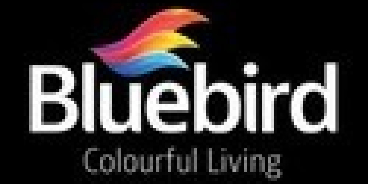 Premium Art Supplies Online in UAE – Discover Creativity with Bluebird Arts UAE