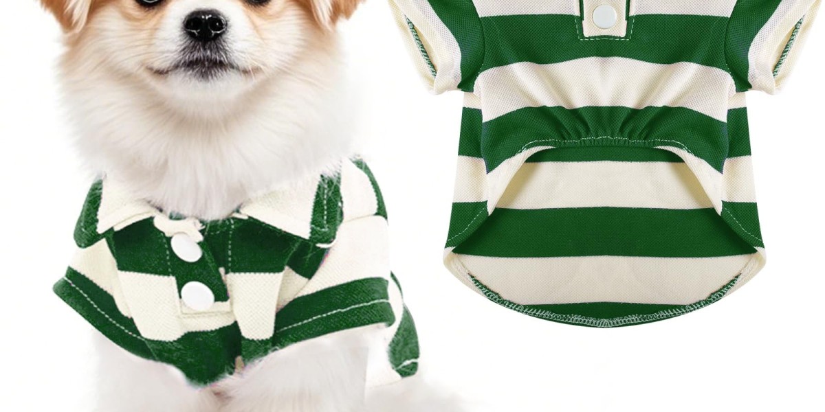 Pet Clothing Market Trends, Demand and Future Opportunities 2026–2036