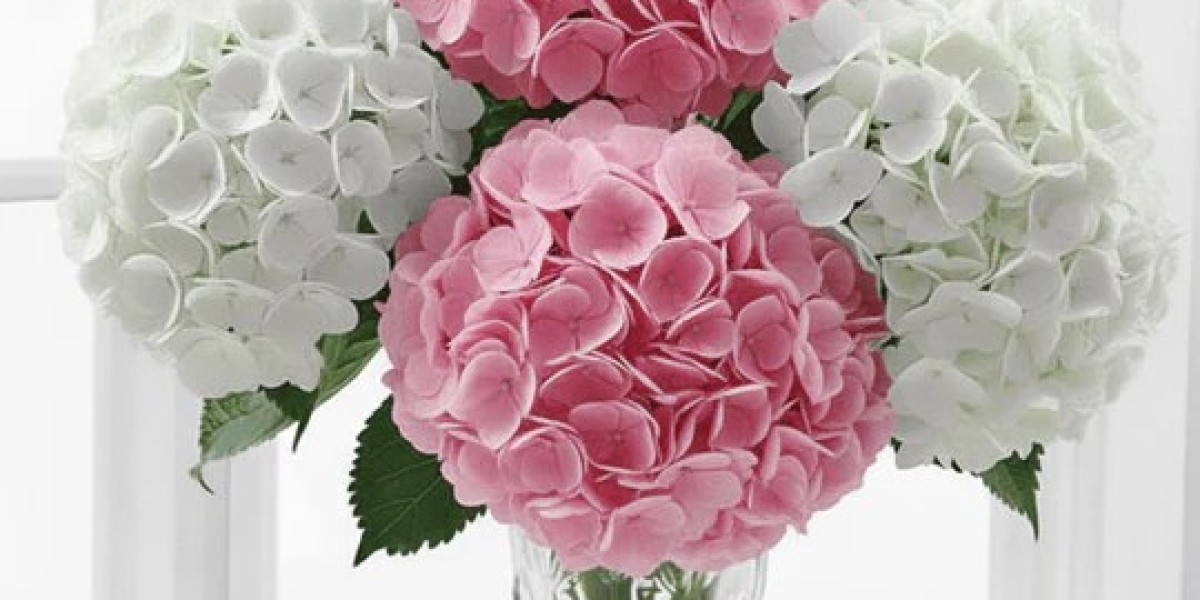Fresh Toronto Flower Delivery: Blooms at Their Absolute Peak