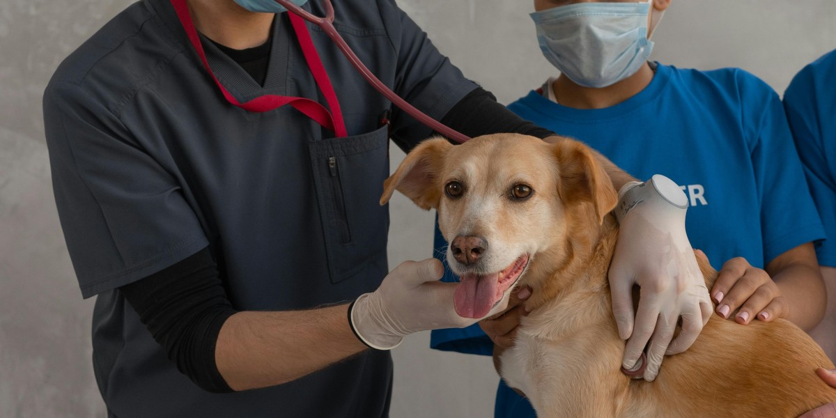 The Global Veterinary Anesthesia Market Size is foreseen to grow from USD 174.3 Million in 2025 and is govern to reach a