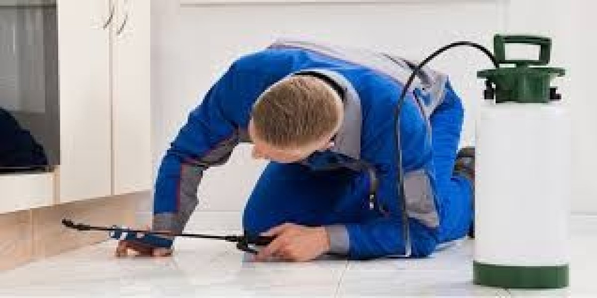 What Is the Best Solution for Long-Term Cockroach Control?