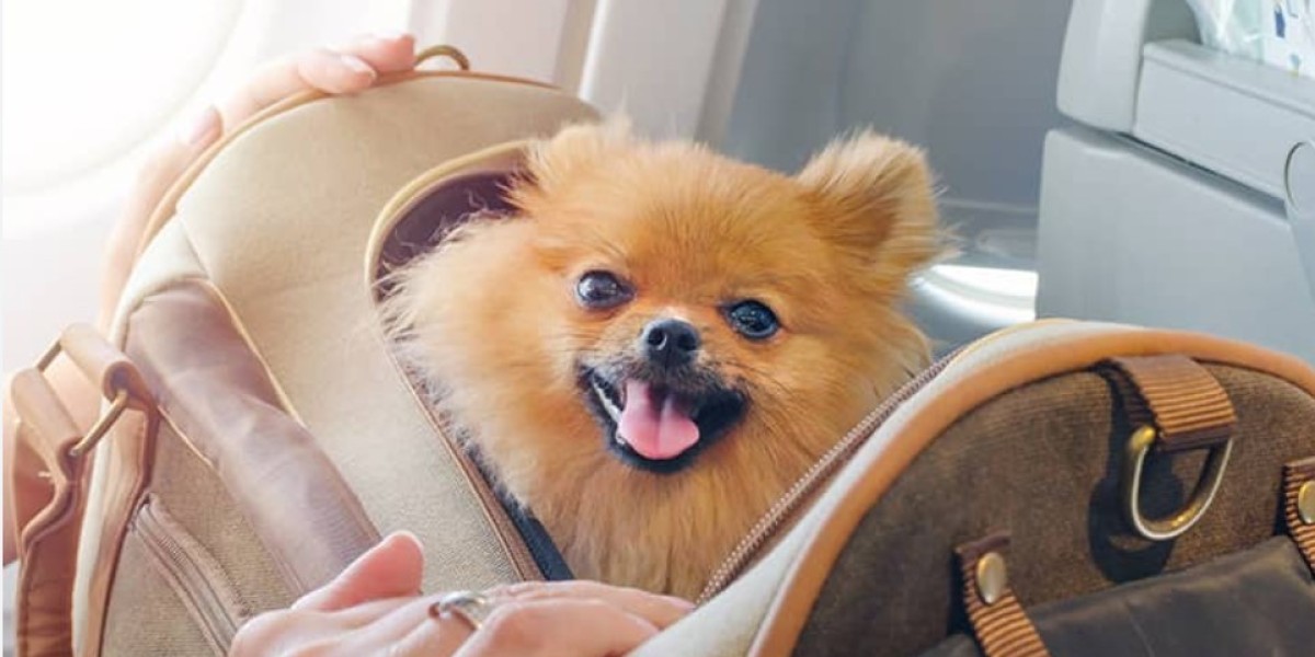 Stress-Free Travel: Booking a Paris to London Pet Taxi