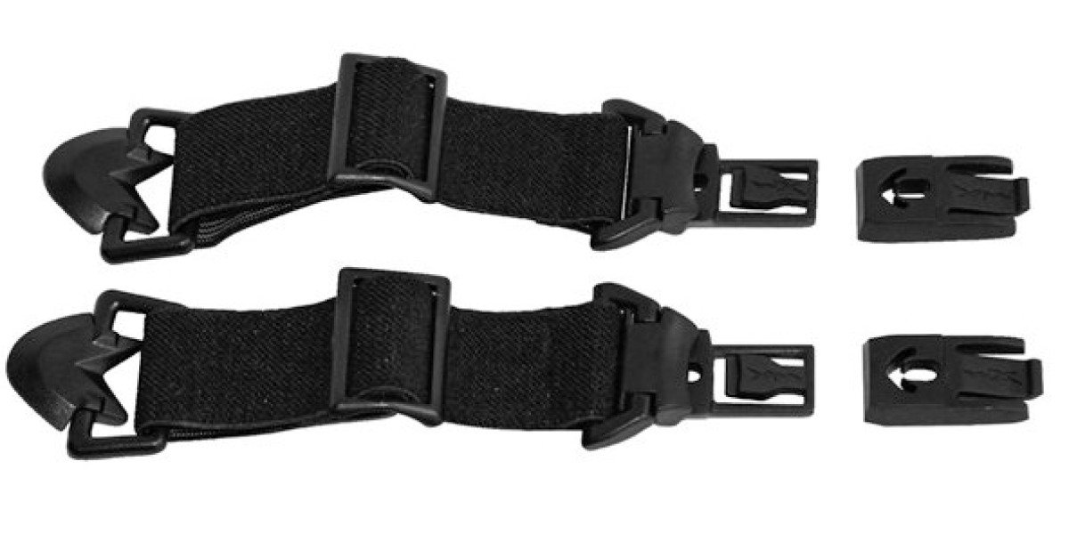 Ergodynamic Strap Systems Market Future Outlook 2026–2036