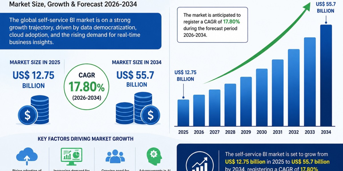US Holds Significant Lead in Self-Service BI Market Share: 2034 Insights