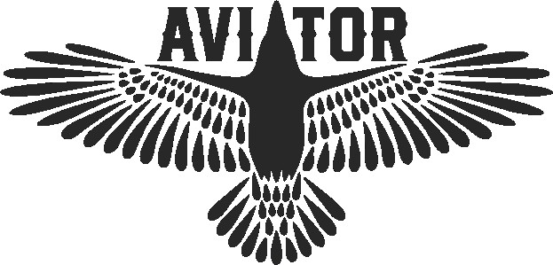 Aviator Coats