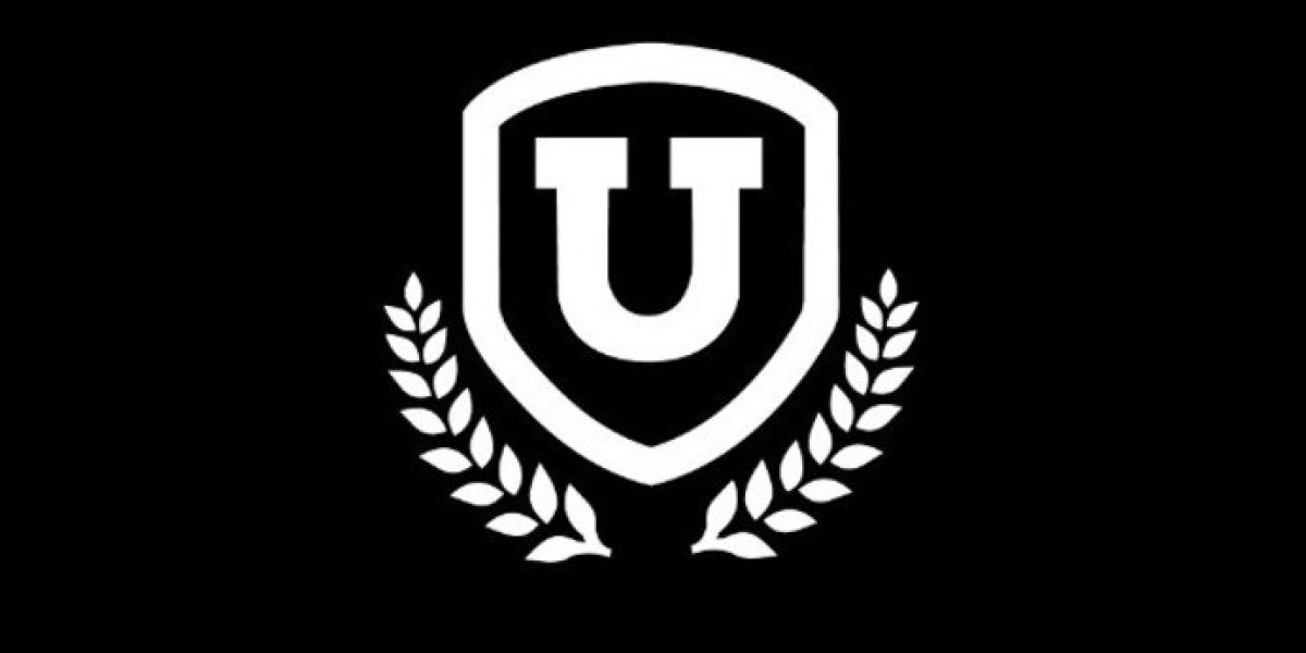 Mastering Academic Submissions: How to Leverage Professional UK Thesis Writers for Doctoral Success