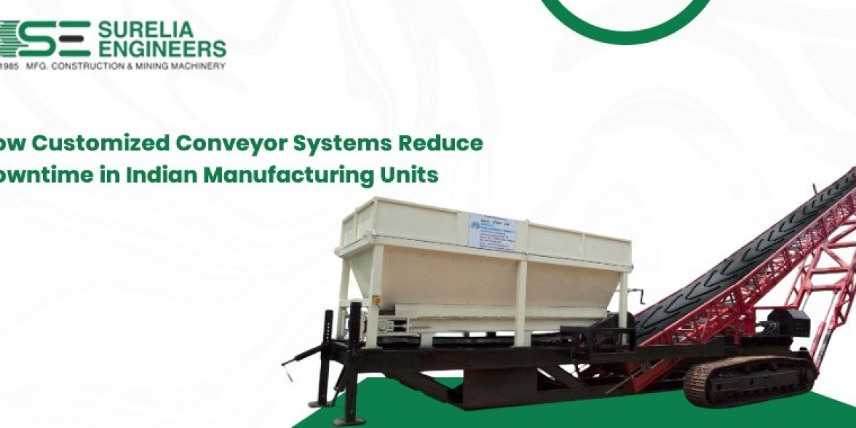 How Customized Conveyor Systems Reduce Downtime in Indian Manufacturing Units