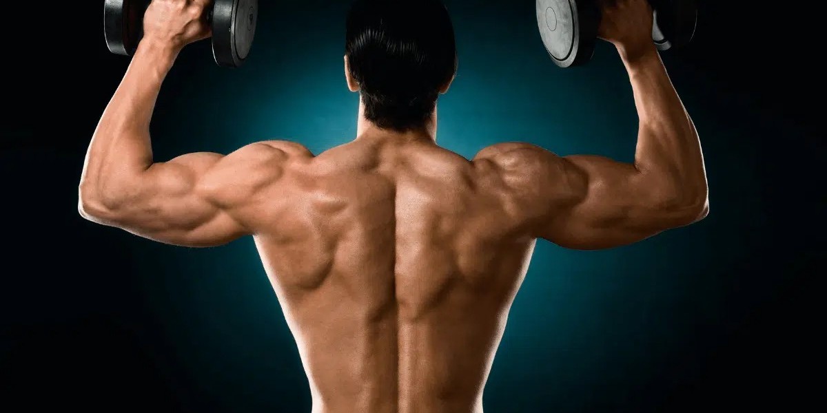 Simple Dumbbell Back Exercises for Strength and Muscle Gain