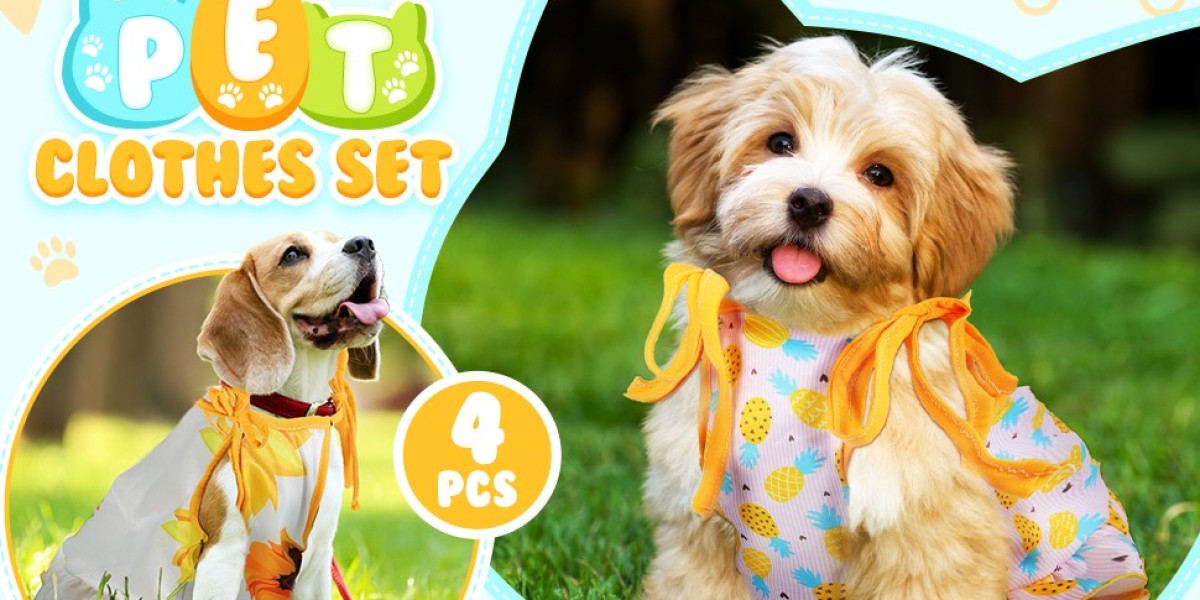 The ultimate guide to fulfilling sweet doggy wishes for comfort