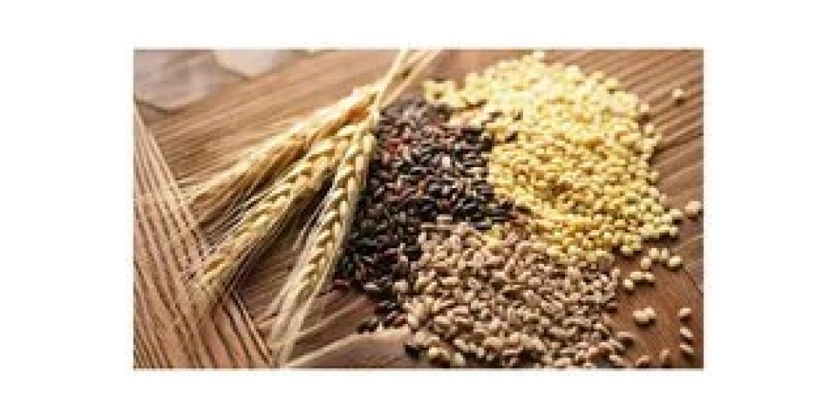 China Forage Seed Market Driving Sustainable Livestock Feed and Agricultural Productivit
