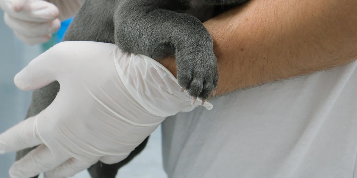 Key Drivers and Challenges in the Global Veterinary Anesthesia Market