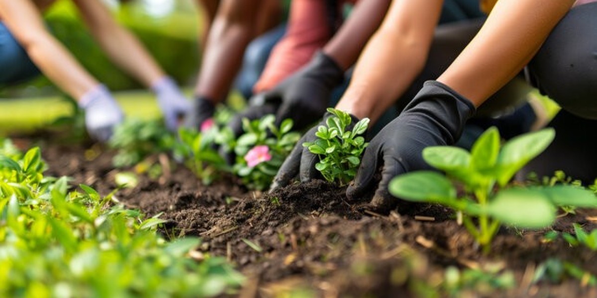 Professional Planting Services in Sheboygan for Beautiful and Healthy Outdoor Spaces