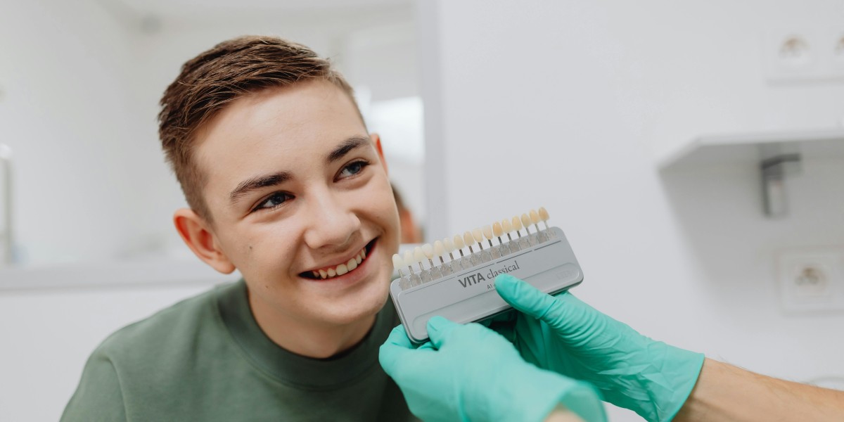Germany Dental Veneers Market: Trends Driving Cosmetic Dentistry Growth