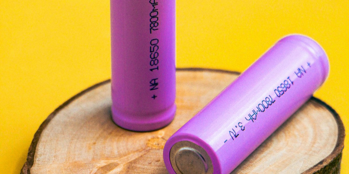 Global Battery Packaging Market: Regional Growth Insights