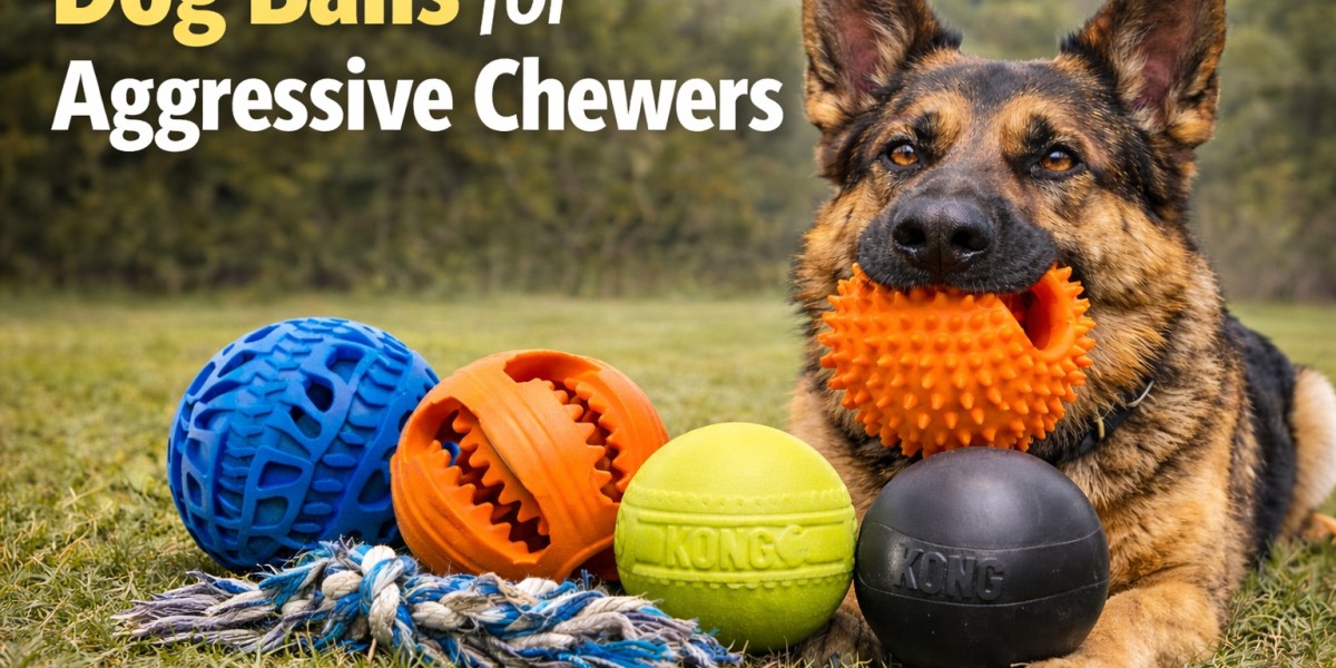Top Indestructible Dog Balls for Aggressive Chewers