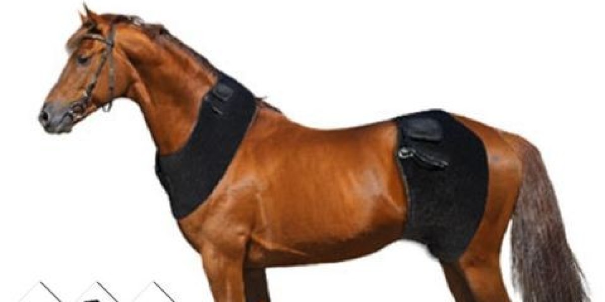 Advanced Equine Recovery with Equine Red Light Therapy Pad for Inflammation Relief