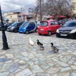 Greece Invests