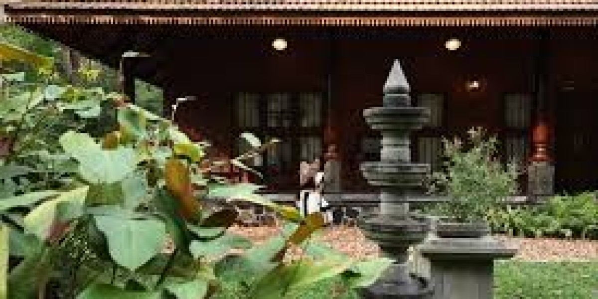 Discover the Beauty of Kerala Village Tourism