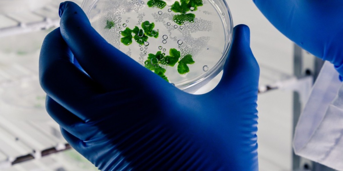 Biobanking Market with Highest growth in the near future by leading key players
