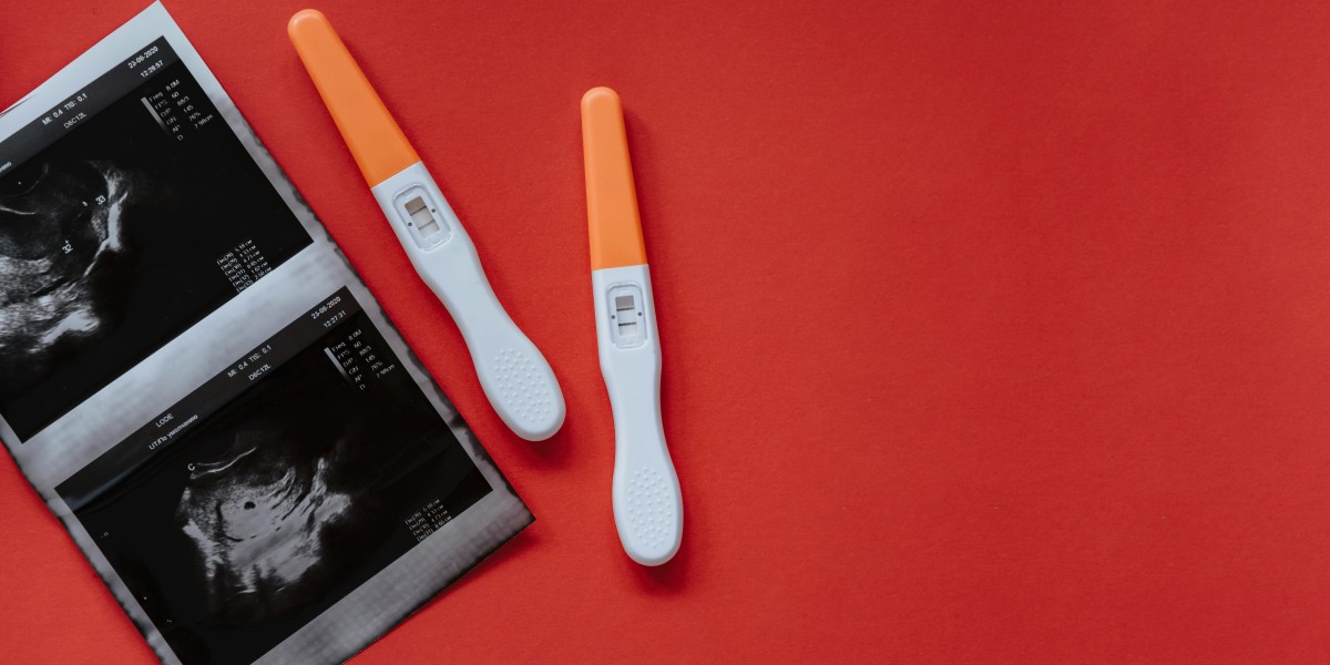 Future of Fertility Testing Market