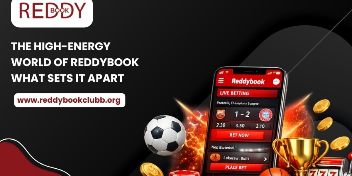 The High-Energy World of Reddybook: What Sets It Apart in Today’s Digital Entertainment Space