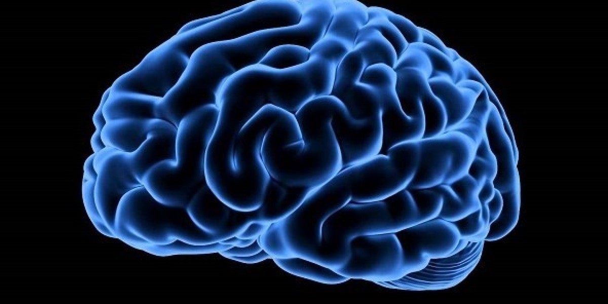 Tau protein uptake is a critical step in the insidious spread of tau pathology