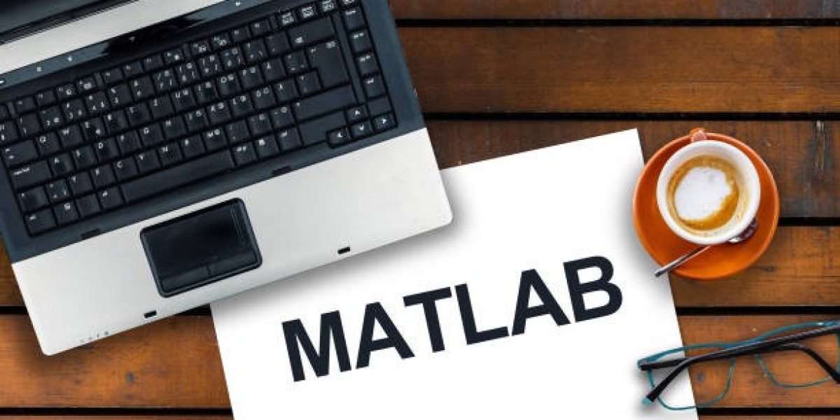Writing MATLAB Scripts for Epidemiological Modeling