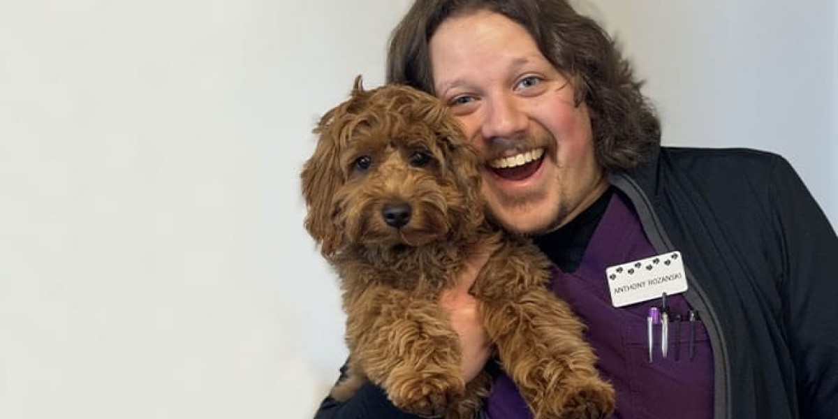 Life-Saving Treatments Available at Emergency Veterinary Hospitals