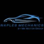 Naples Mechanics