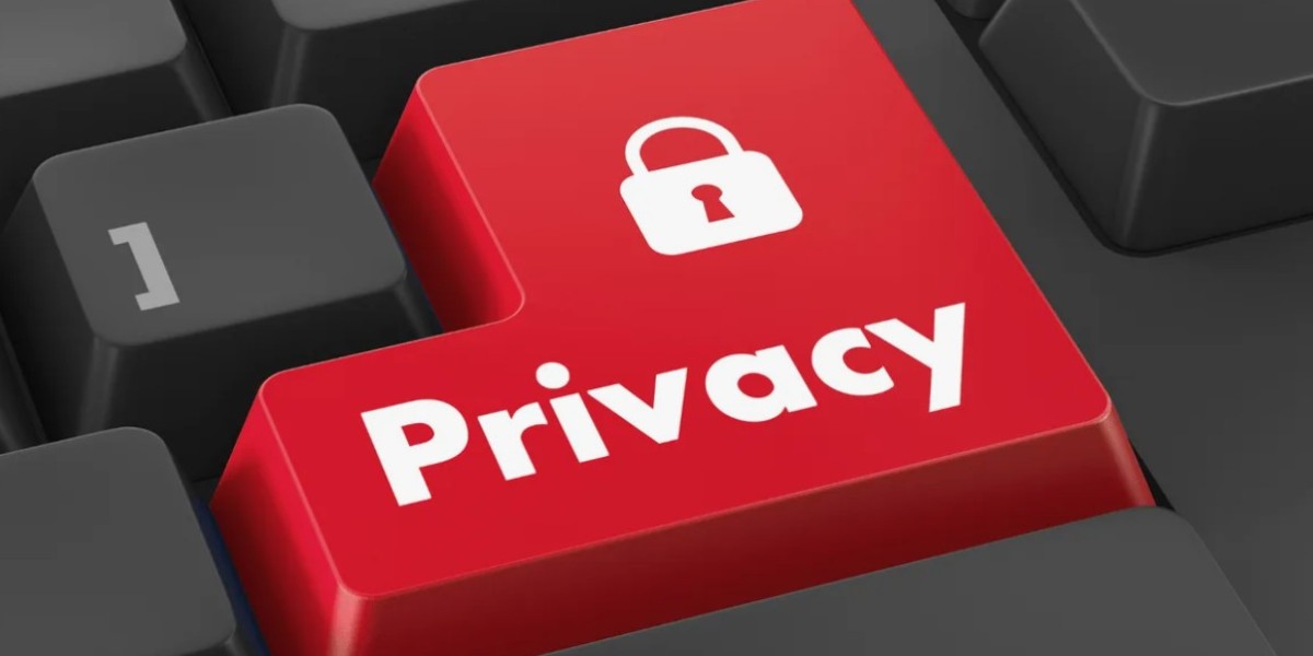 Online Privacy: Securing Your Digital Self across a Hyperconnected World