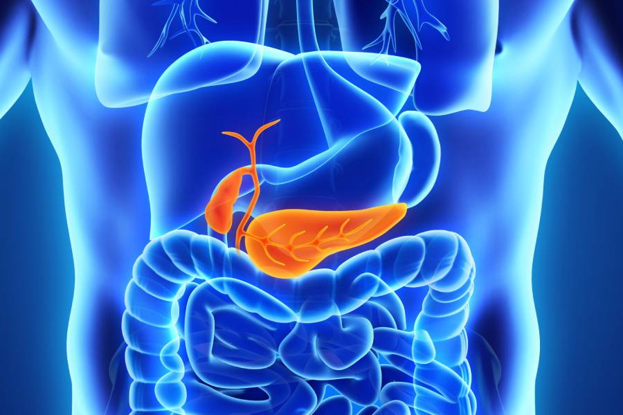 Pancreatic Cancer Surgeon in Chennai | Best Medical Care by Dr. S. Srivatsan Gurumurthy