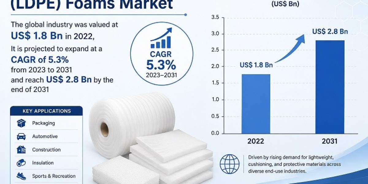 Low Density Polyethylene (LDPE) Foams Market Expansion Driven by Packaging and Construction Applications