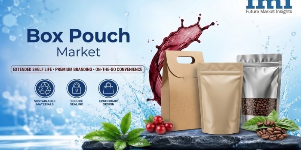 Box Pouch Market Future Brightens with Lightweight Packaging Innovations Across Global Consumer Industries