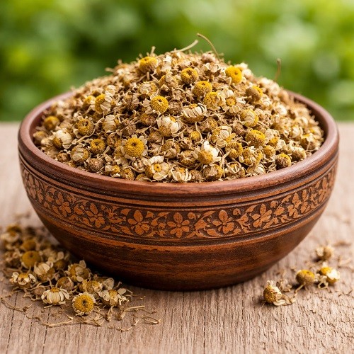 Chamomile Microgreen Seeds Profile Picture