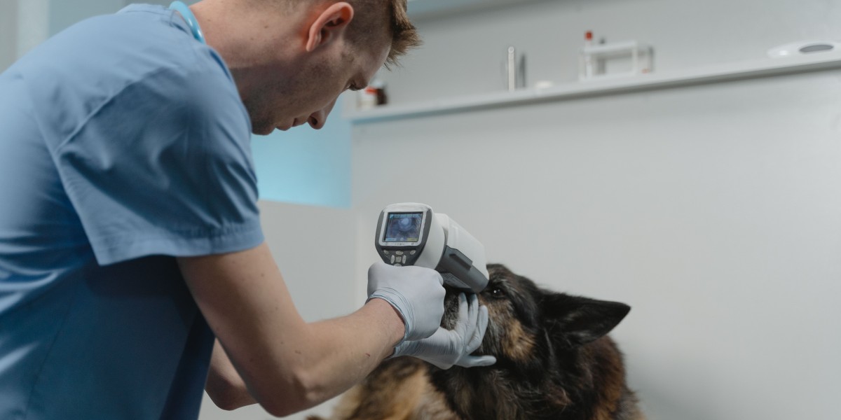 Global Rabies Diagnostics Market Report: Market Size, Growth Drivers, and Competitive