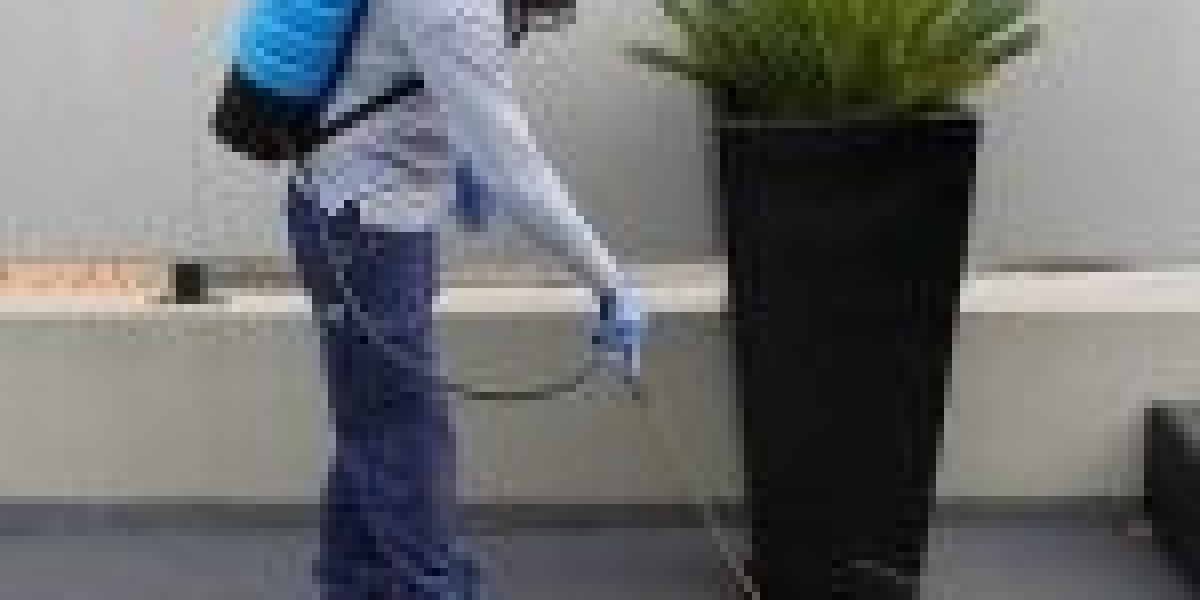 Comparison of Pest Inspection Adelaide Services: Why Tom’s Pest Control Adelaide Stands Out in Local Homes