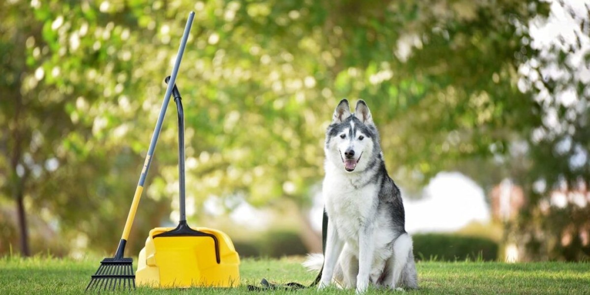 Is Dog Waste Taking Over Your Desert Ridge Yard? Here's What Local Homeowners Are Doing