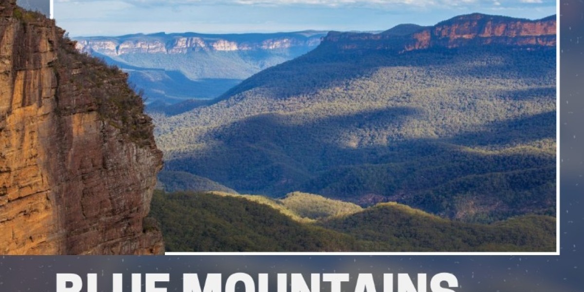 Discover the Best Wildlife Tours Sydney and Blue Mountains Small Group Tours