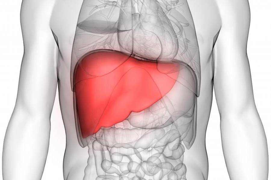 Liver Transplant Surgery in Chennai- Dr. S. Srivatsan Gurumurthy