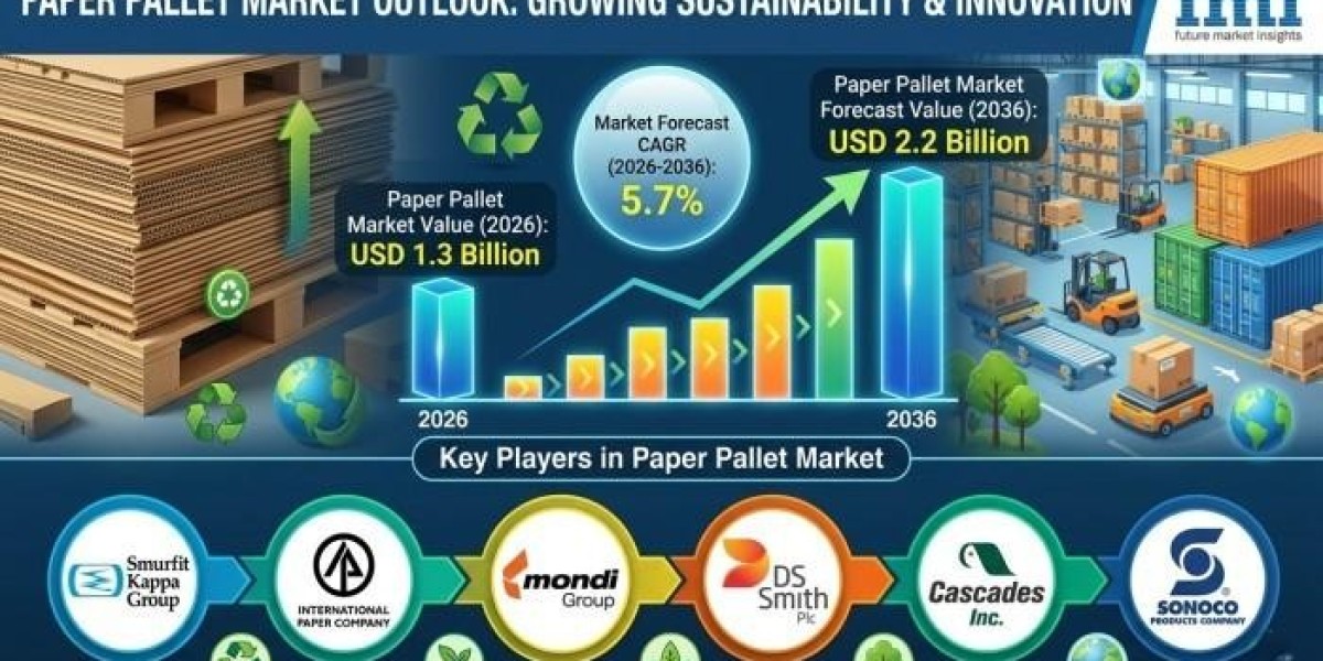 Paper Pallet Market Supported By Rapid Expansion Of Regional Production Capacity Globally