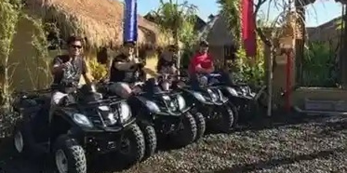 Bali Tour Packages with Febris Bali Tour – Explore Paradise in Style