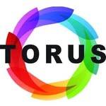 torus coldpressjuicers