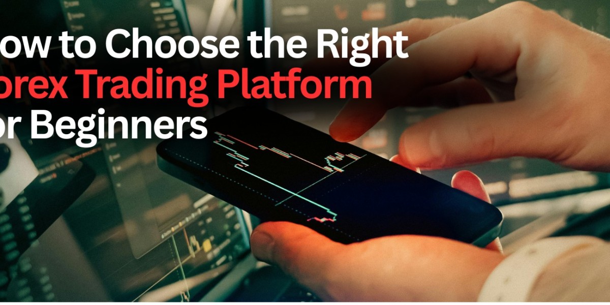 How to Choose the Right Forex Trading Platform for Beginners